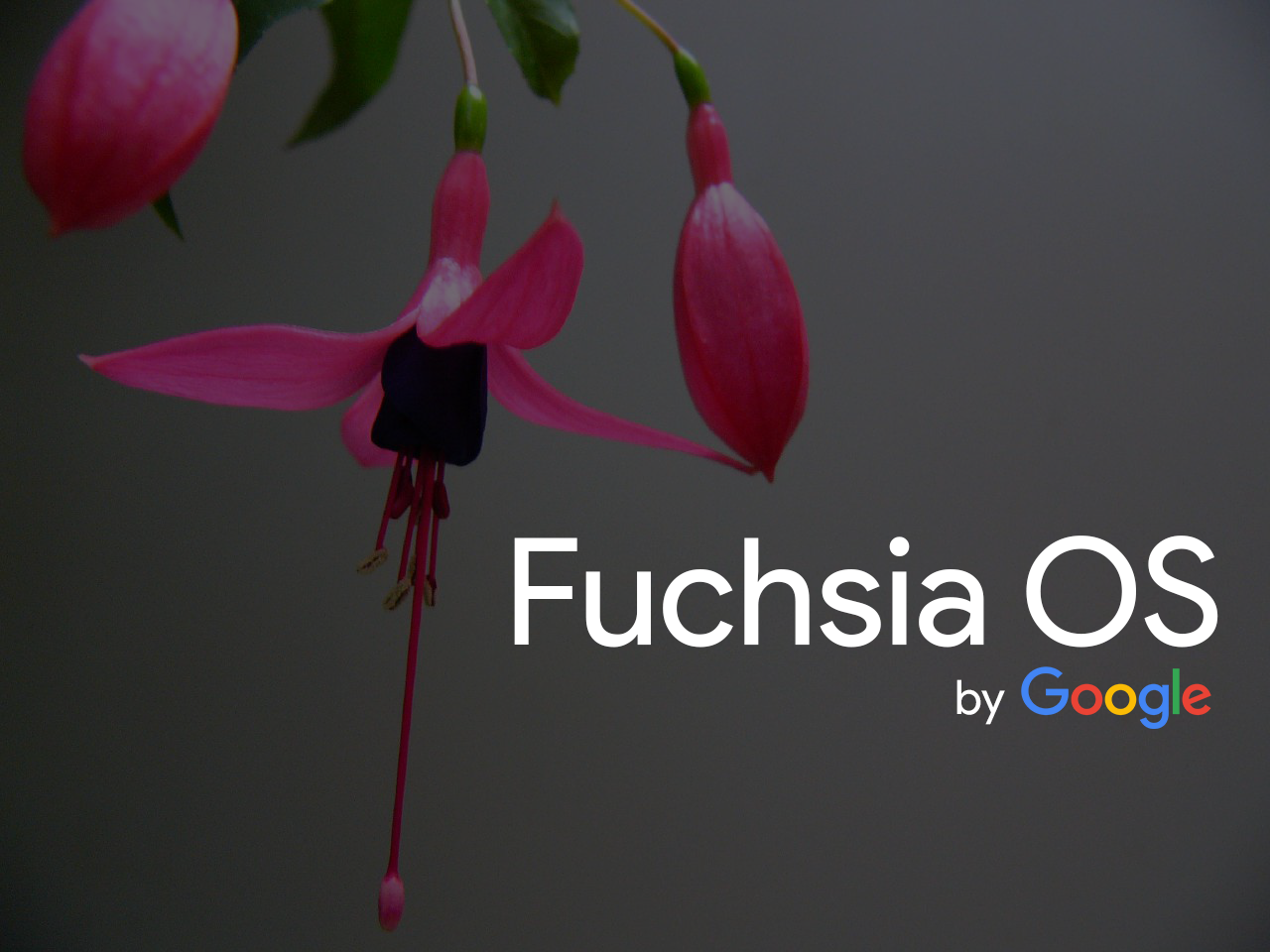 Обзор Google Fuchsia OS + Видео